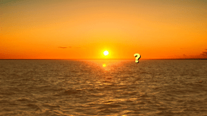 도박꾼들은 어떻게 생계를 유지합니까?