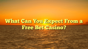What Can You Expect From a Free Bet Casino?